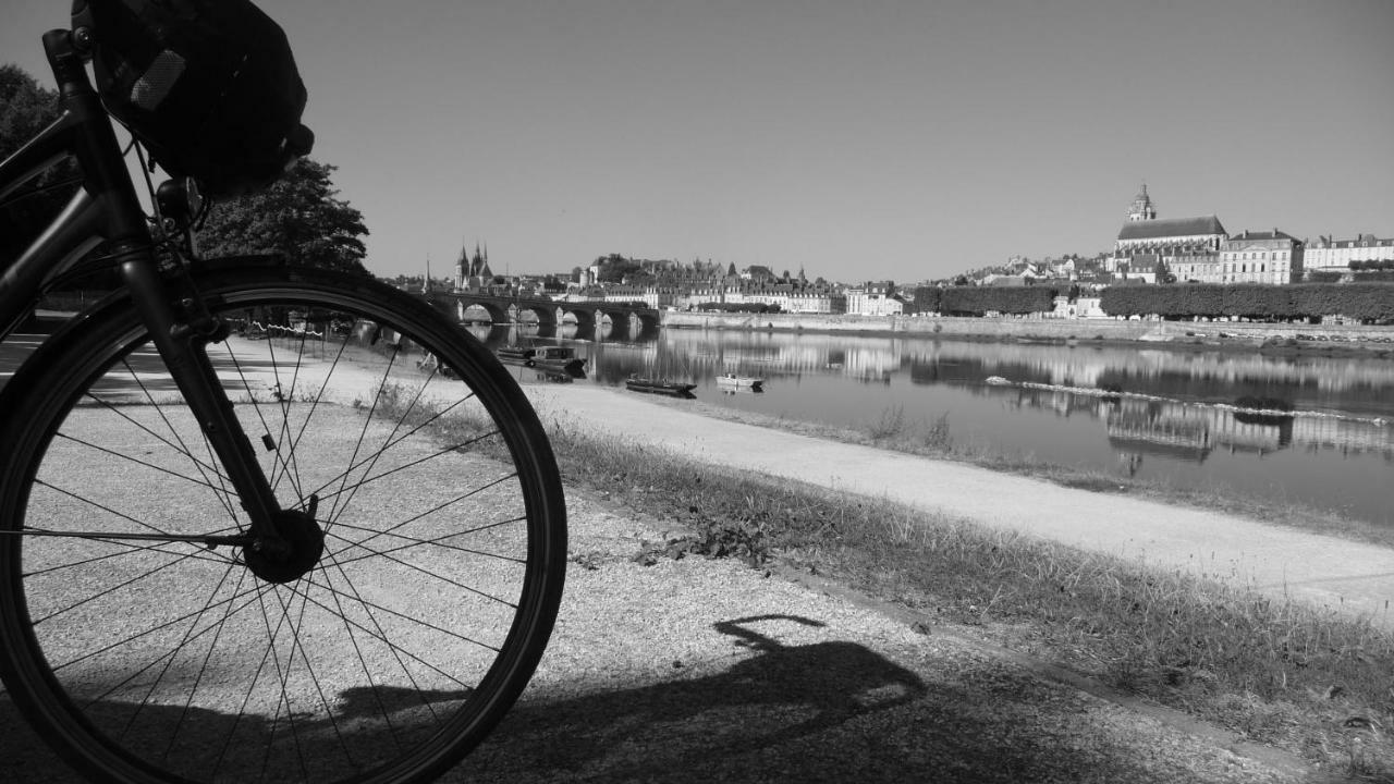 Les Ateliers Du Roi Apartman Blois Kültér fotó